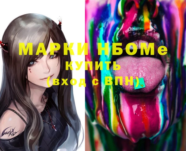 гидра Вяземский
