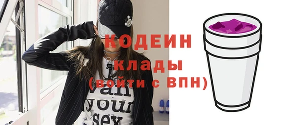 гидра Вяземский