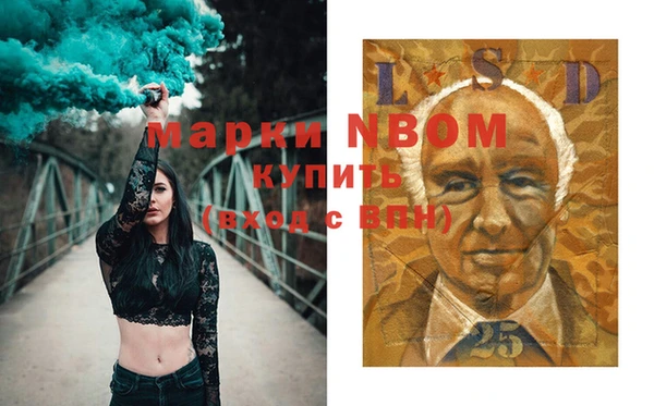 гидра Вяземский