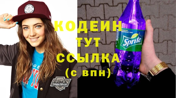 гидра Вяземский