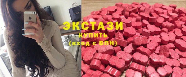 гидра Вяземский