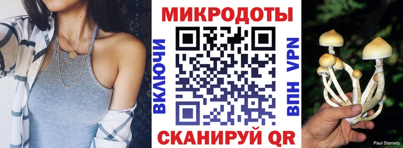 Псилоцибиновые грибы Cubensis  магазин    Гусь-Хрустальный 